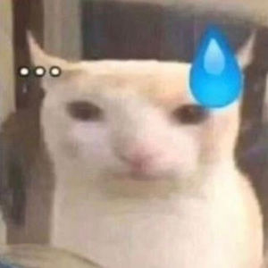 Meet your Posher, Fatima